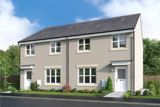 Thumbnail Semi-detached house for sale in "Fulton Semi" at Off Craigmill Road, Strathmartine, Dundee