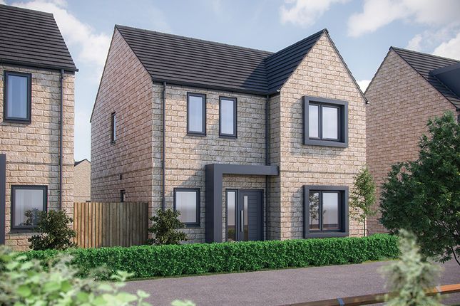 XX0015 [Bh] 06 X412 Juniper Plot 25_Web