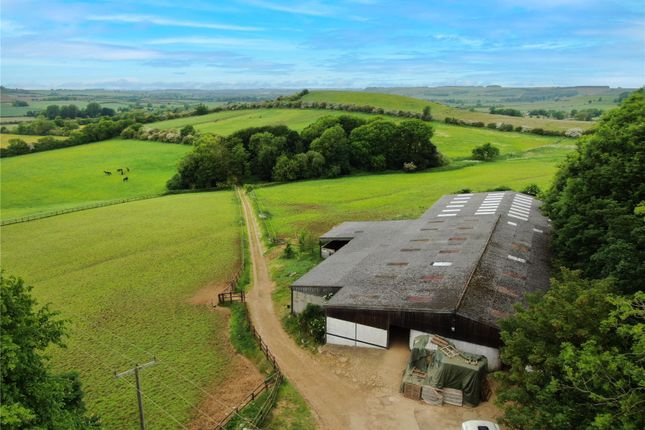 Stables