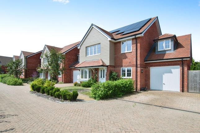 Thumbnail Detached house for sale in Augustus Avenue, Fordingbridge