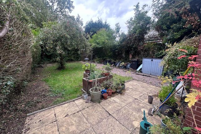 Garden .Jpeg