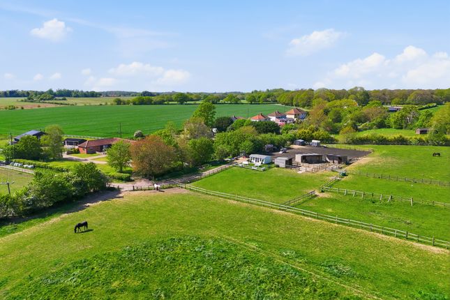 Mannings Farm Barn, Castlings Heath, Sudbury photo 4