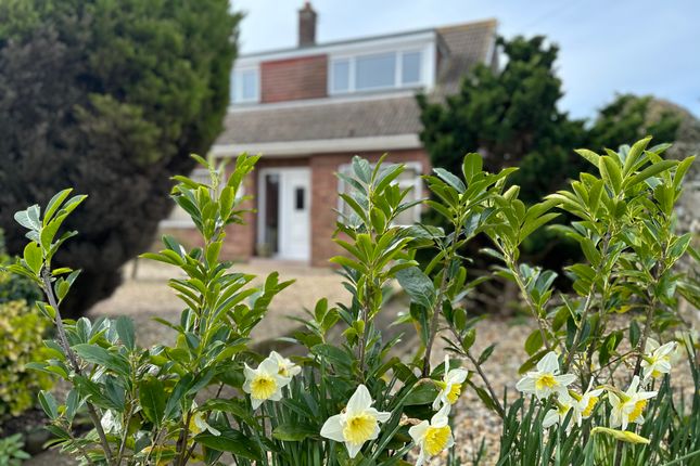 Detached house for sale in Damgate Lane, Martham, Great Yarmouth