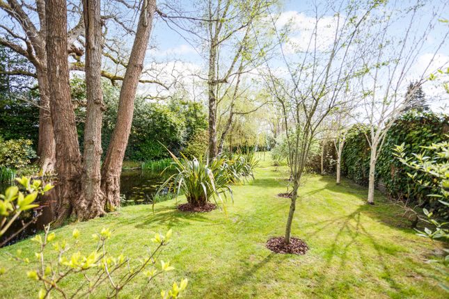 Detached house for sale in Comptons Lane, Horsham
