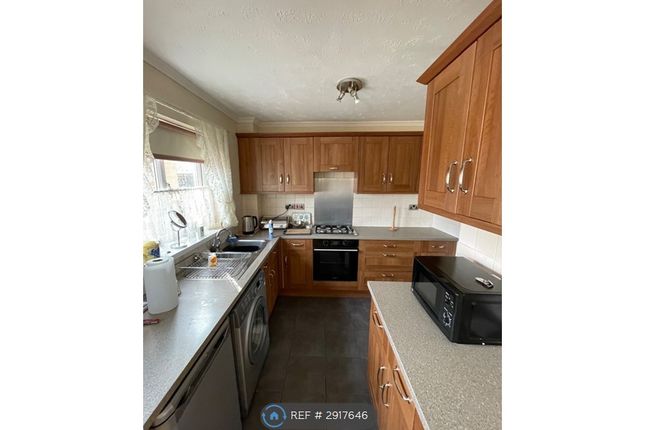 Valley Grove, Coundon Grange, Bishop Auckland photo 3