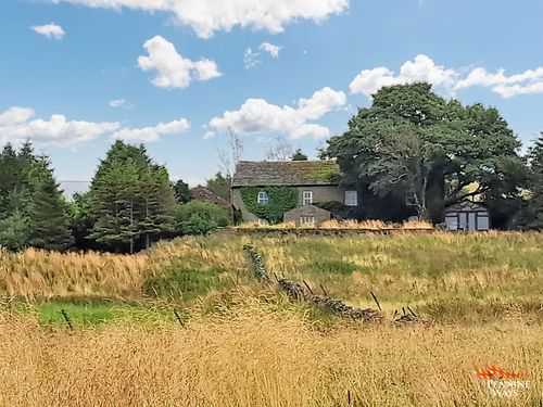 Thumbnail Detached house for sale in Nenthead Road, Alston