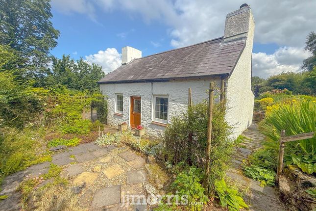 Glandwr, Llandysul photo 2