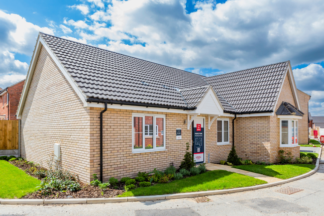 Plot 42, Lowestoft Road, Hopton photo 2