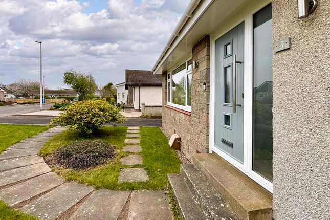 3, Morven Avenue, Montrose photo 2