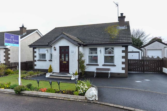 Thumbnail Bungalow for sale in Saltwater Close, Ballywalter, County Down
