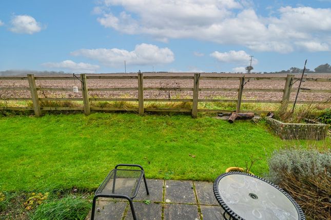 29 Swallow Court, East Meon Road, Clanfield photo 3