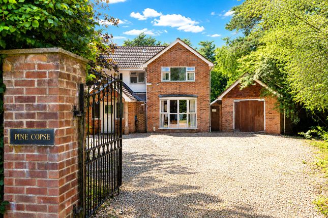 Pine Copse, 38, Kingswood Firs, Hindhead photo 2