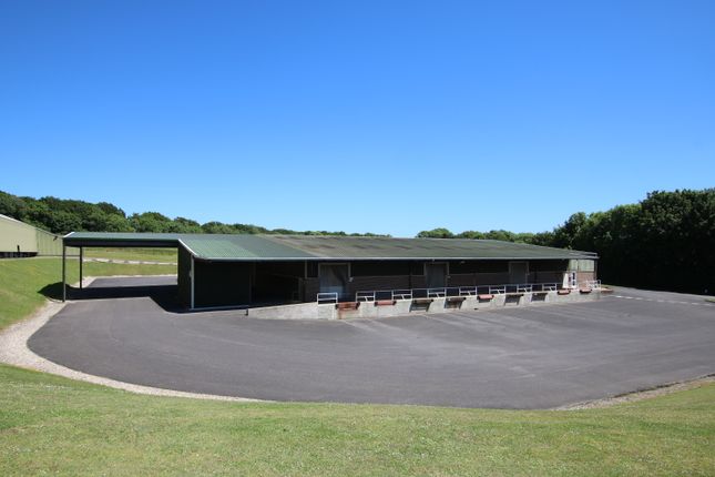 Thumbnail Light industrial to let in Building D, Dorset Business Park, Winterbourne Whitechurch