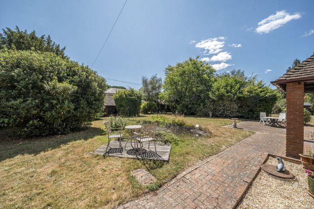 Yew Tree House, Bisterne Close, Ringwood photo 2