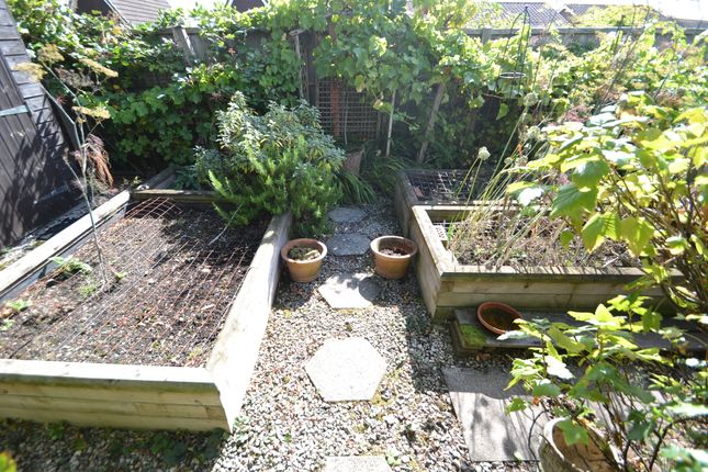Vegetable Area