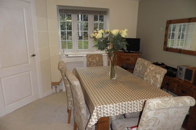 Semi-detached house to rent in Cuckoo Hill, Bruton, Somerset