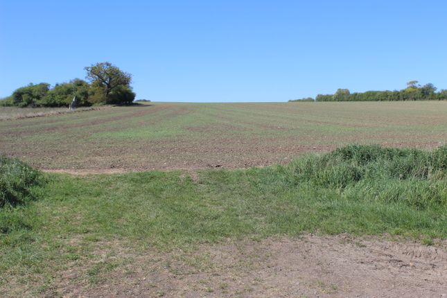 Bartlow Road, Hadstock photo 2