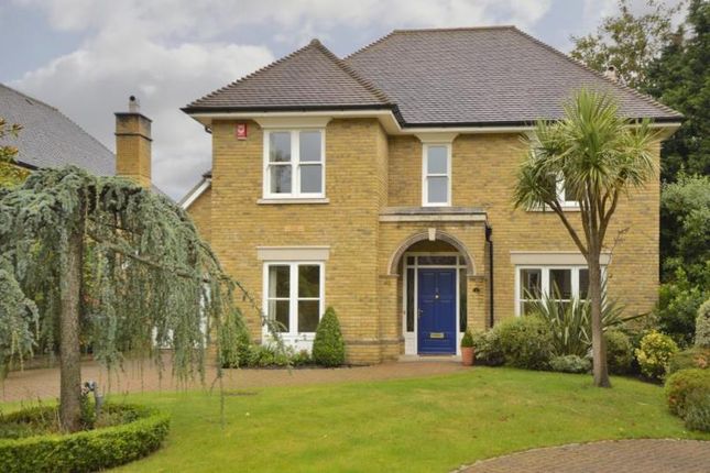 Thumbnail Detached house to rent in Grange Place, Walton On Thames, Surrey