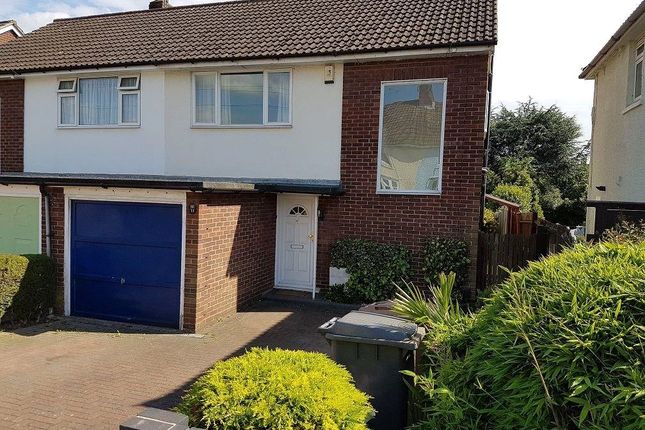 Semi-detached house to rent in Springfield Park Road, Chelmsford