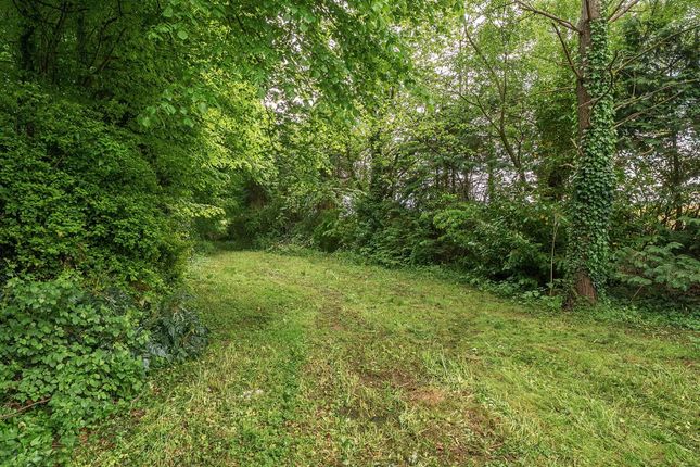 Frogmore Farm, Lopenhead, South Petherton photo 3