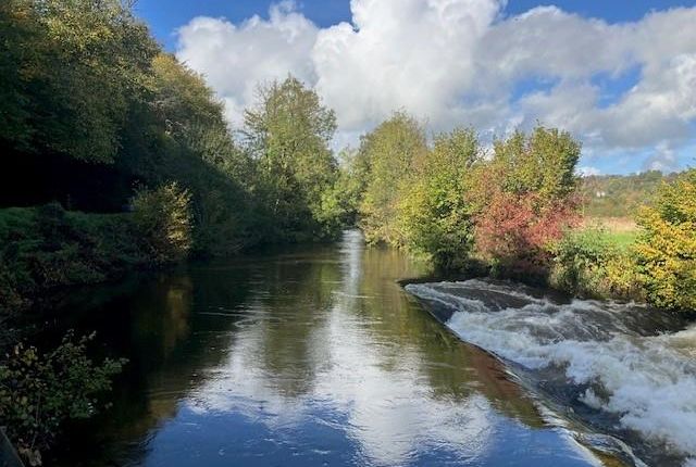 Fishing on the River Barle, Dulverton photo 4