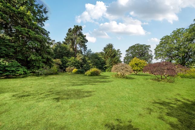 Burrows, Windlesham Road, Woking photo 3