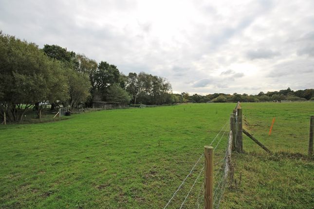 Property for sale in Black Lane, Bransgore, Christchurch, Dorset
