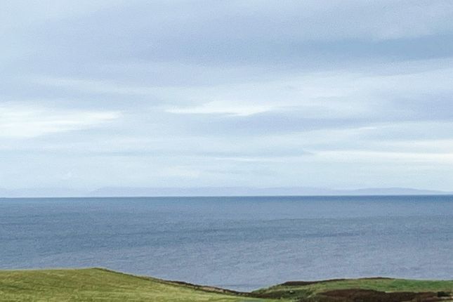 Newfoundland, Melvich, Thurso photo 2