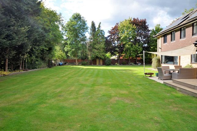 Detached house for sale in Ingatestone Road, Stock
