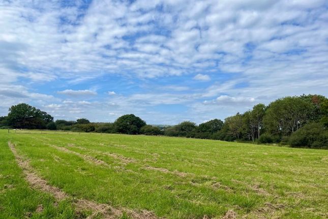 Land for sale in Kings Lane, Coldwaltham, Pulborough