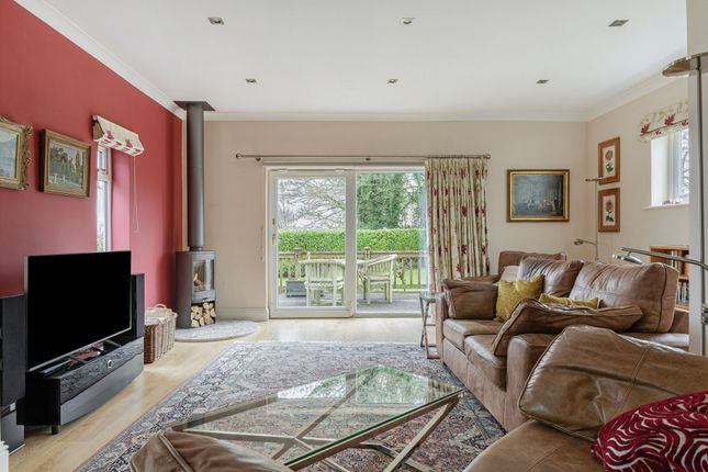 Little Hackett, Paice Lane, Medstead photo 4
