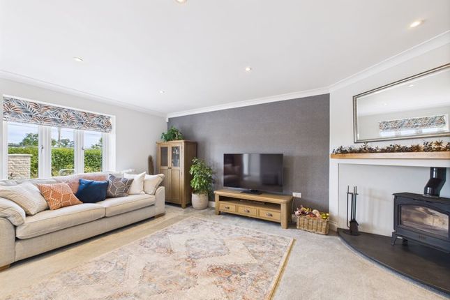 2 Blackberry Court, School Street, Drayton photo 2
