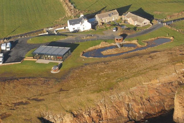 Thumbnail Restaurant/cafe for sale in Banks Of Orkney, Cleat, South Ronaldsay, Orkney