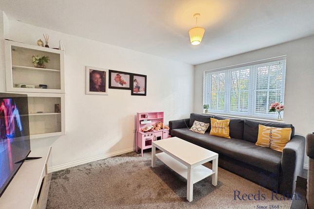 Maple Avenue, Tyne and Wear photo 3