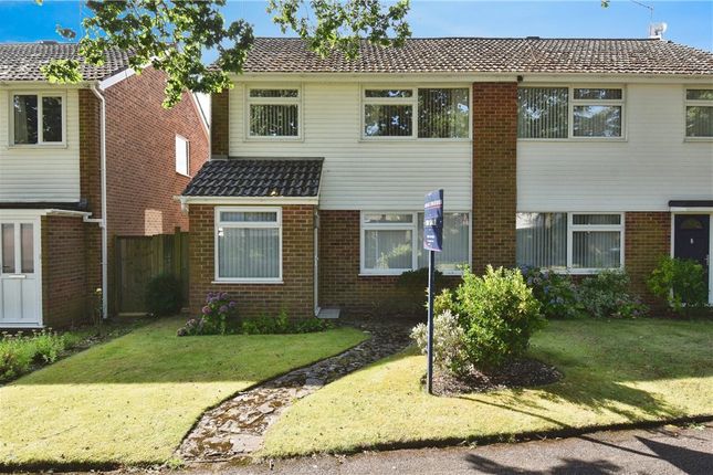 Thumbnail Semi-detached house for sale in Abbotswood Close, Romsey, Hampshire