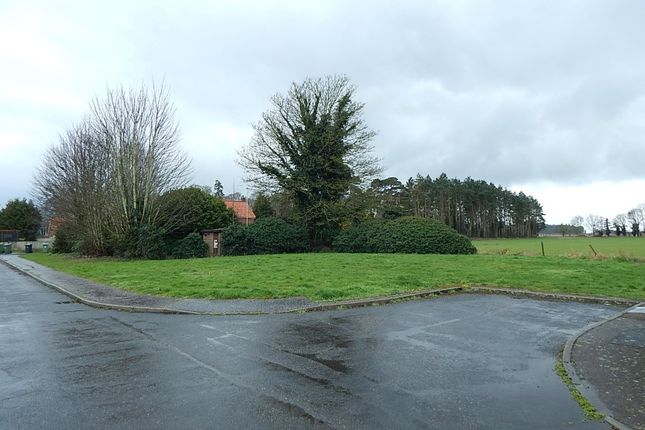 Thumbnail Land for sale in Land Off St. Johns Close, Oxborough, King's Lynn, Norfolk