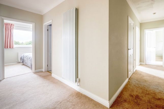 Flat 7, Park View, Eastbourne photo 5