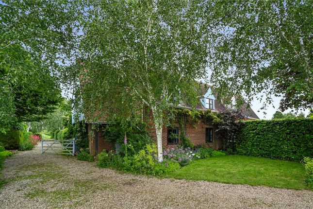 Thumbnail Equestrian property for sale in Tile Barn Lane, Lawford, Manningtree, Essex