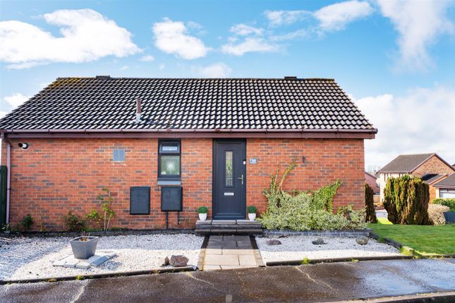 26, Elmhurst, Motherwell photo 2