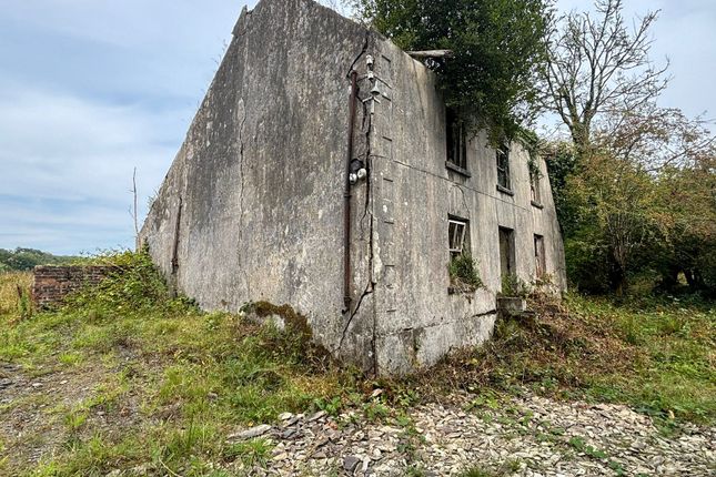 Abermydan, Myddfai, Llandovery photo 5