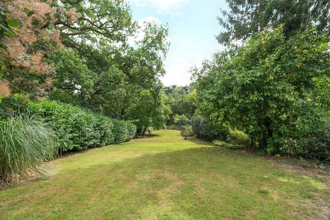 127, Peperharow Road, Surrey photo 4