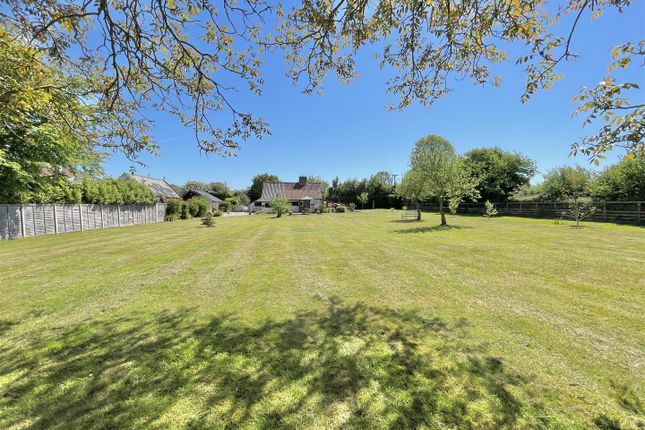 Rose Cottage, Norwich Road, Wreningham photo 4