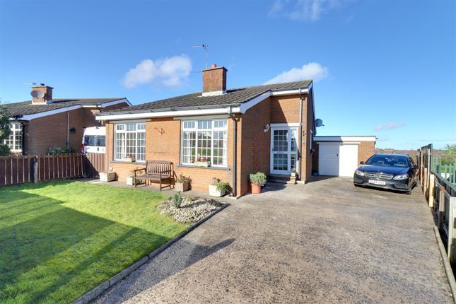 Thumbnail Bungalow for sale in Abbeydale Gardens, Newtownards