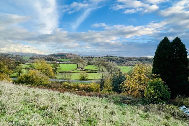 Wenallt House, Llanwrda photo 3