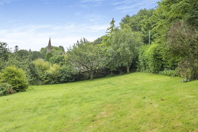 Detached bungalow for sale in Woolland, Blandford Forum
