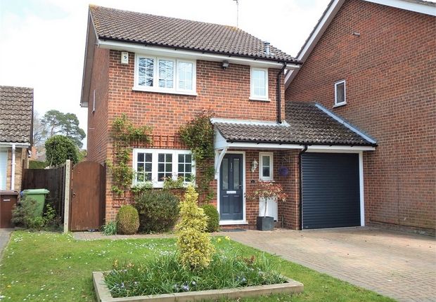 Thumbnail Link-detached house for sale in Nutmeg Court, Farnborough, Hampshire