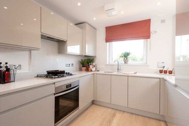 End terrace house for sale in "Eveleigh" at Marigold Place, Stafford