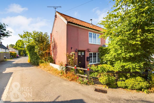 Cottage for sale in The Street, Haddiscoe, Norwich