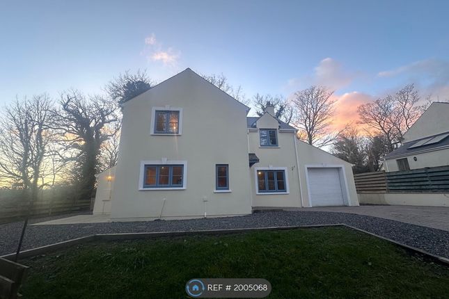 Detached house to rent in Bluebell Lane, Haverfordwest SA62