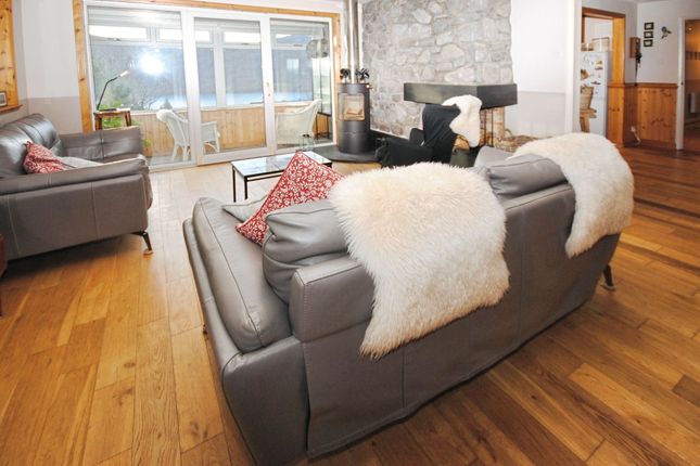Dog Wood, Ullapool photo 4